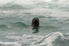 Out to sea! Tofino, Vancouver Island